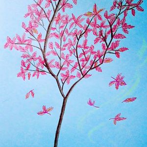 青娱乐2017年精品视频在线
